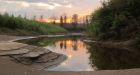 'No water, no birds': Wood Buffalo National Park among most threatened, warn international scientists