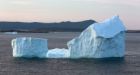 Advertising on icebergs' A Newfoundland man plans to try