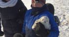 'She's feisty and wants to be out': Injured snowy owl makes a return to the wild