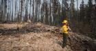 B.C. state of emergency ends as wildfire conditions improve