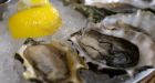 Norovirus cases up due to consumption of raw oysters: health authority