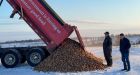 Americans say P.E.I. potatoes to be allowed into mainland U.S. 'soon'