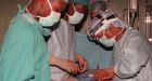 Hearts from cadavers beat anew: study
