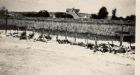 64 years later, France and Germany delve into shrouded WW 2 massacre