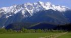 Countdown begins for Pemberton music festival