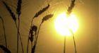 U.S. man wins fight to keep century-old Sask. farm