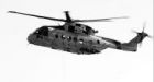 Report: Search choppers idled too much of time