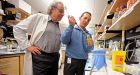 Doctors' chemistry produces diabetes solutions