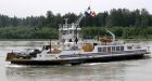 Albion Ferry shut down by icy Fraser River