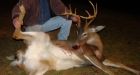 Young Vermont hunter busted for bolting antlers on dead doe