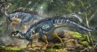 Fossil hints at fuzzy dinosaurs