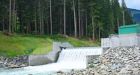 Run-of-river power projects breach environment regulations