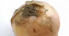 U.S. company converts onion juice to electricity