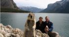 CNN report says squirrel seen in Banff, B.C.