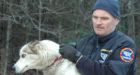 100 sled dogs rescued in Laurentians