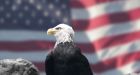Isolationism rising among Americans