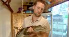 B.C. exotic pet law too strict: owner
