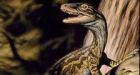 Dinosaurs' dominance was helped by mass volcanism