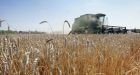 Farmers' net income to nosedive in 2010