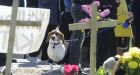 Mock funeral held for euthanized animals