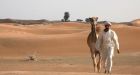 Scientists look to turn Gulf's deserts into farmland