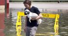 Flood damage 'extensive' in southern Saskatchewan