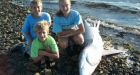 Nova Scotia family discovers 3-metre shark on beach