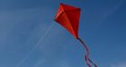 Toronto bans kite flying in city park