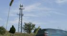 Cell tower radiation harmful to humans