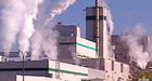 Company from India may buy Sask. pulp mill