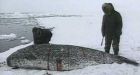 Nunavut narwhal tusk export ban defended