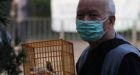 Deadly bird flu on rise