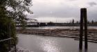 Police search for mom of baby found in B.C. river