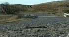 4 teens killed in rollover in southern Alberta