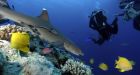 Australia plans world's largest marine reserve