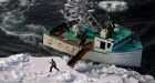 Poor ice conditions mean early seal hunt in Quebec