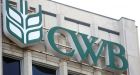Feds appeal ruling that said they broke wheat board law | CTV News