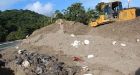 Up to 20,000 sea turtle eggs crushed on Trinidad beach