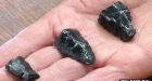 Oregon stone tools enliven 'earliest Americans' debate