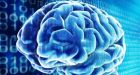 Scientists create functioning, virtual brain that can write, remember lists and even pass basic IQ test