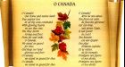 Group seeks to make O Canada's English lyrics gender-neutral