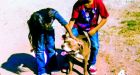 Dog calmly playing with kids after deputy shoots himself trying to kill it