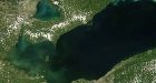 Algae bloom predicted to blanket Lake Erie this summer