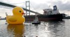 Giant rubber duck sails in to L.A. port