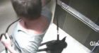 Heartless Connecticut CEO caught kicking puppy in Canadian elevator