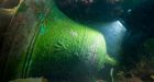 Ship's bell recovered from Franklin's HMS Erebus