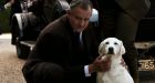 Hugh Bonneville, Downton Abbey star, debunks rumour dog ditched over Isis name