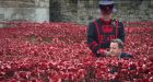 Tower of London poppy display to go on tour