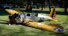 Harrison Ford plane crash leaves actor injured | Film | The Guardian