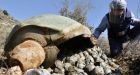 Canada ratifies cluster bomb treaty after years of controversy | CTV News